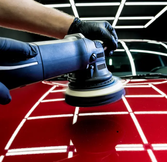 Untitled design (37)